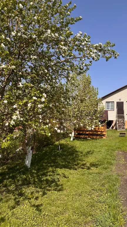 Уютный дом-студия на приусадебном участке