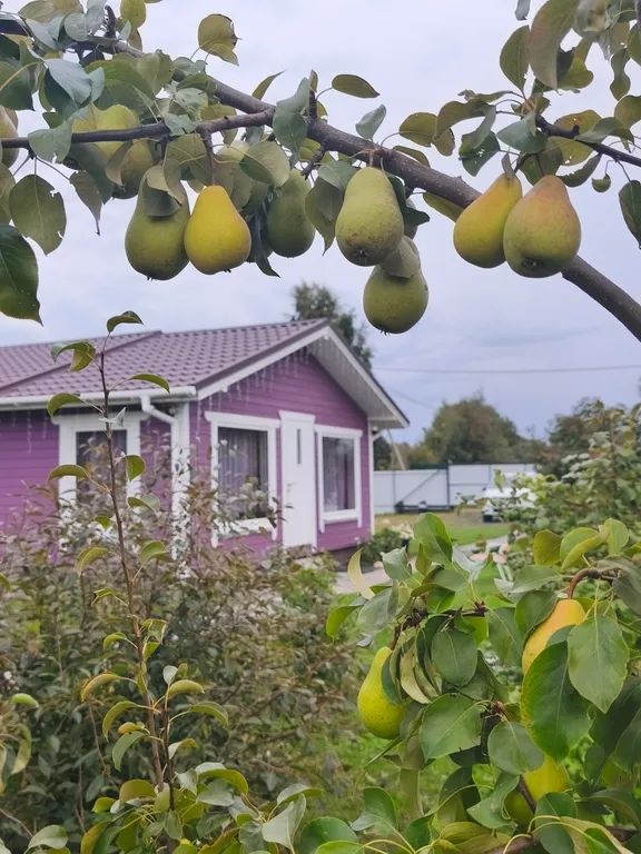 Домик рядом с озером