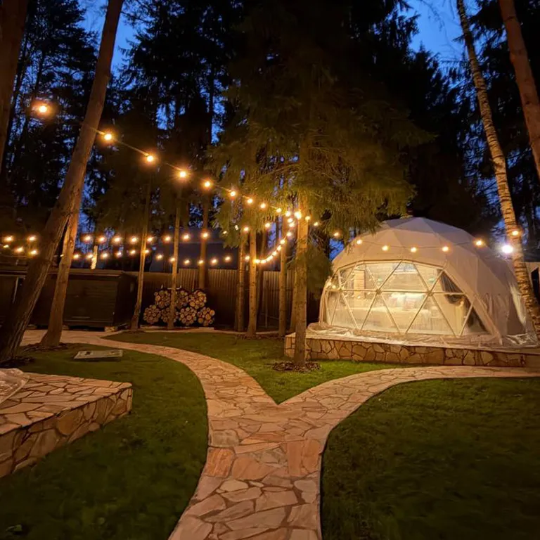 Сфера в сосновом лесу