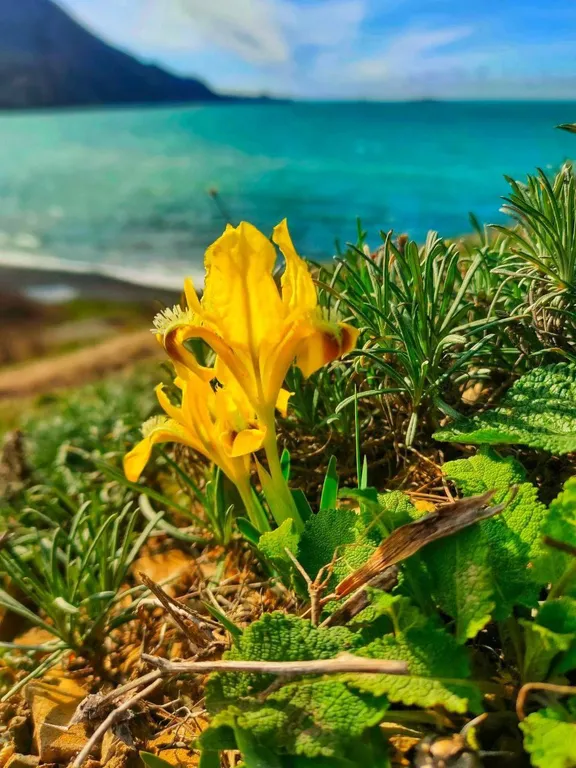Комната с видом на море