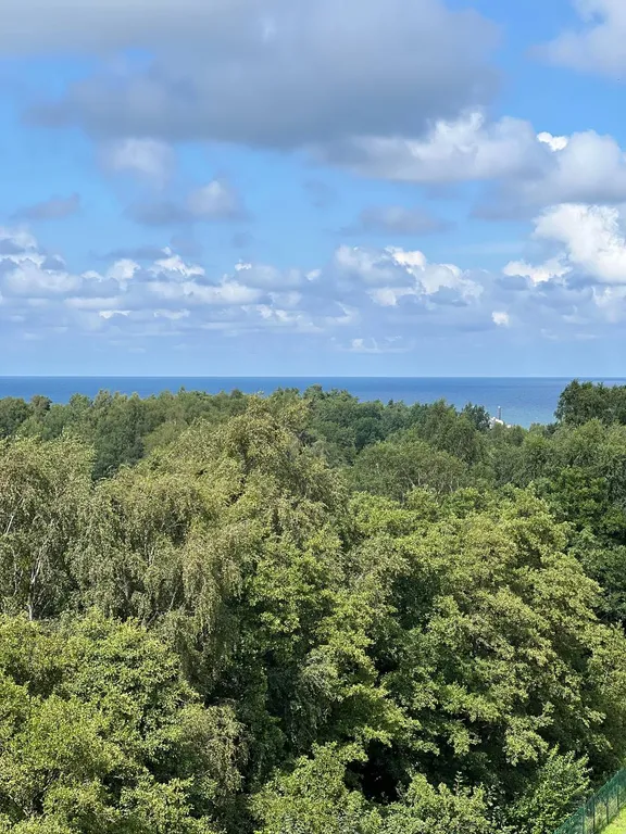 Роскошные апартаменты с видом на море