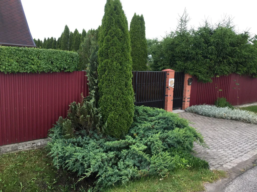 Коттедж Коттедж Лайтхаус Кот Маркиз 1Б — Зеленоградск