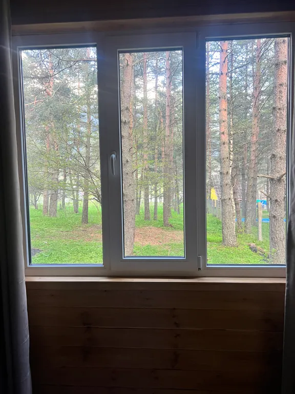 Комфортный коттедж в лесу