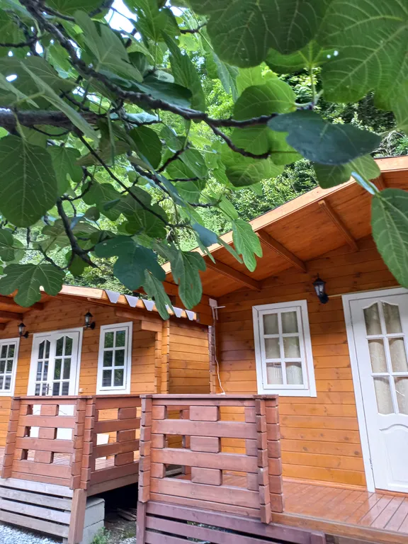 Коттедж Эко домик с парковкой возле горной реки — Гагра