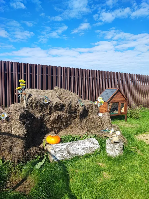 Дом с баней на дровах и гадающим кроликом