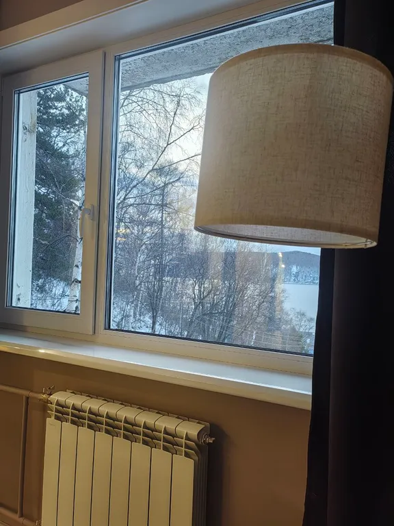 Уютная квартира на въезде в Листвянку