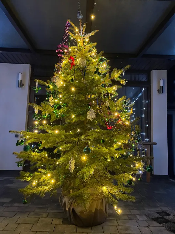 Коттедж белая береза