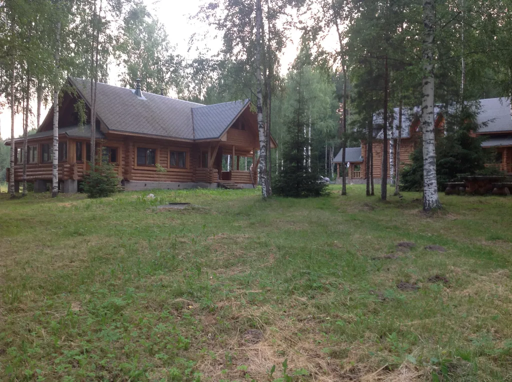 Лесная сказка