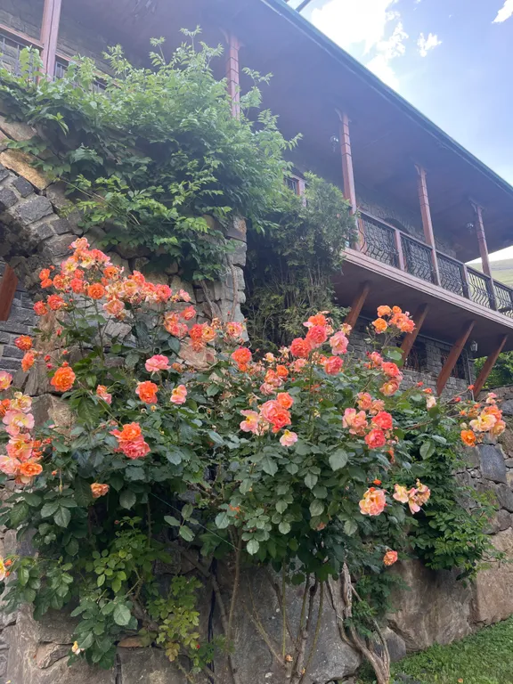 Дом в национальном стиле с удивительным видом AM House Grand