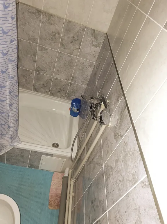 Студия в 5-10 минутах от парка