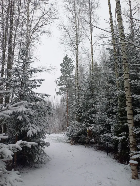 Дом Барин Лес