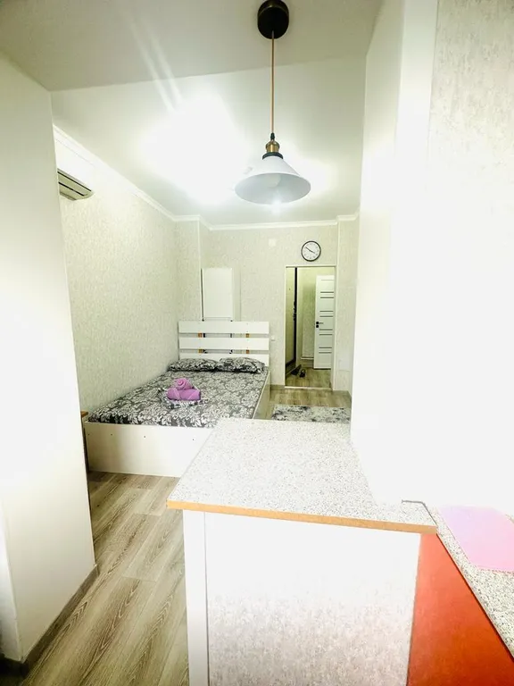 Квартира Новый формат студии на Абая-Саина с великолепным видом на горы — аренда посуточно в Алматы