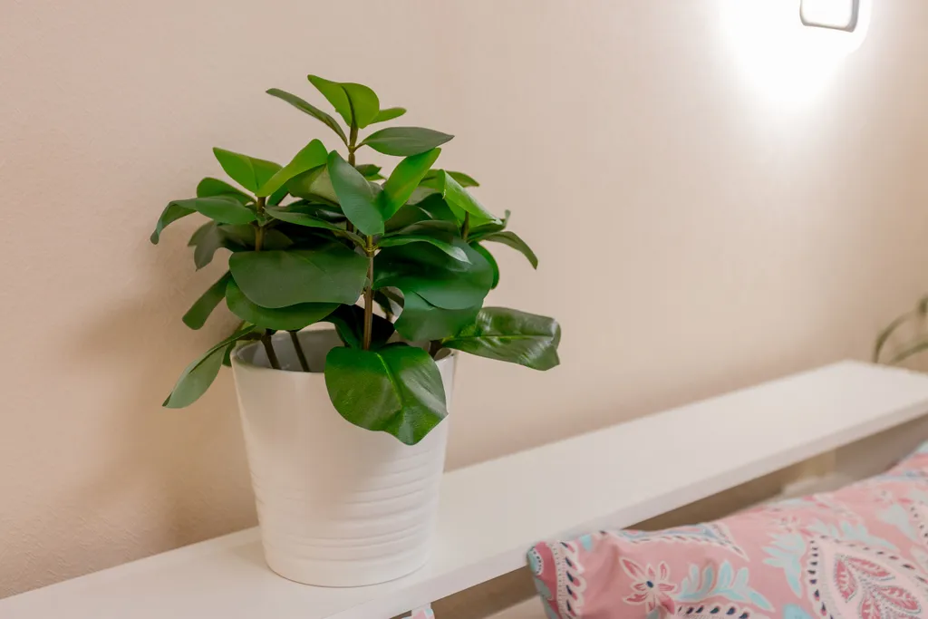 Приятная квартира у парка