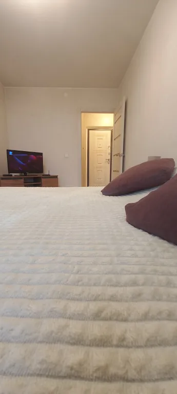 Уютная однокомнатная квартира