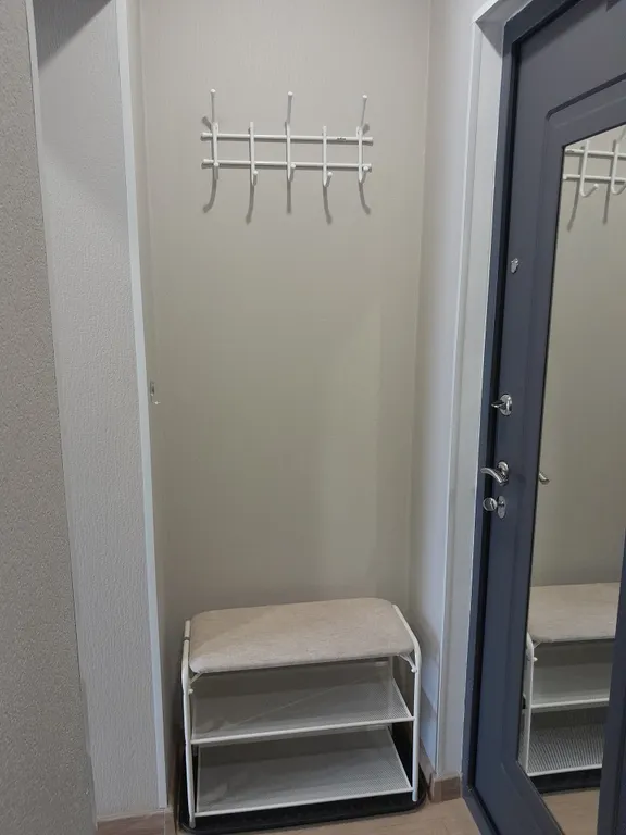 Студия в сосновом бору