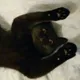 Настя
