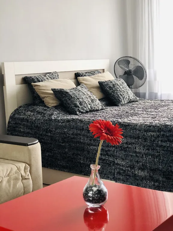 Амфитеатр в пешей доступности