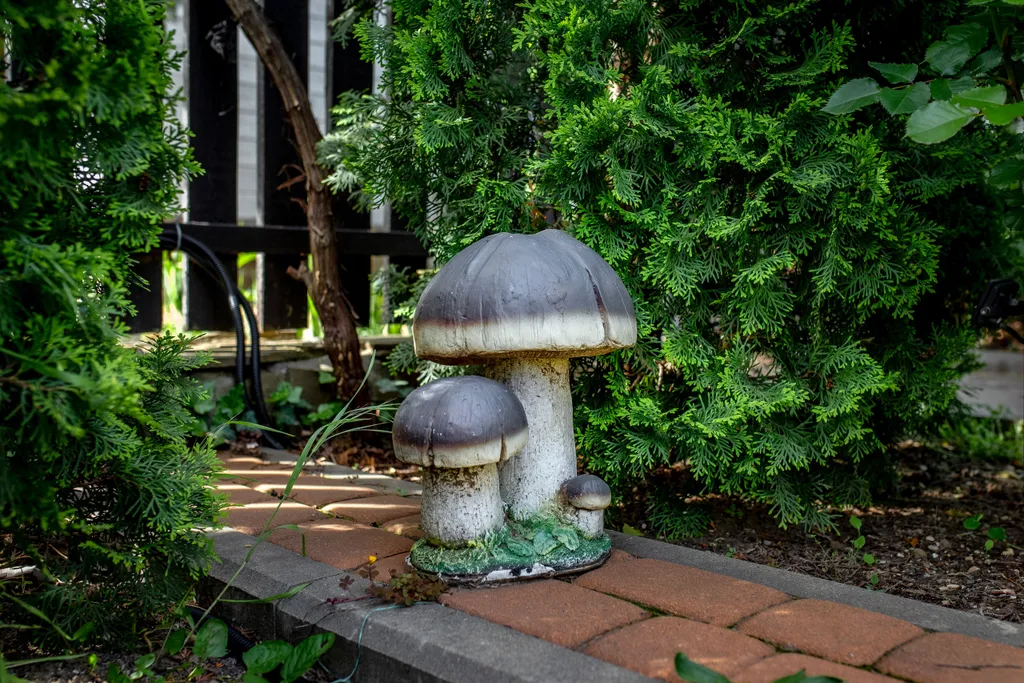 Бунгало Западное