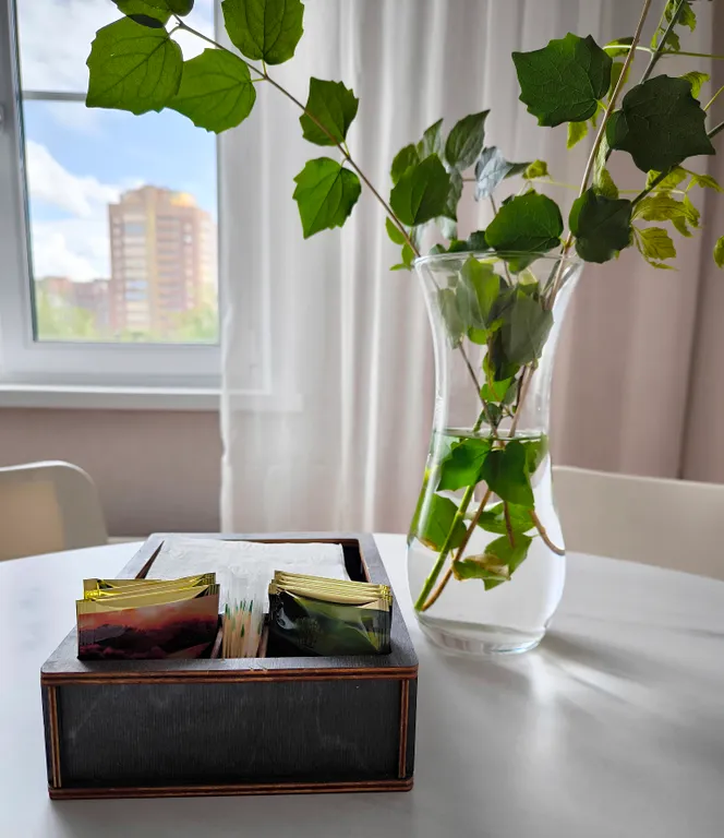 Солнечная двухкомнатная квартира с видом на город