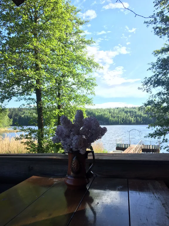 Коттедж на озере Утиное