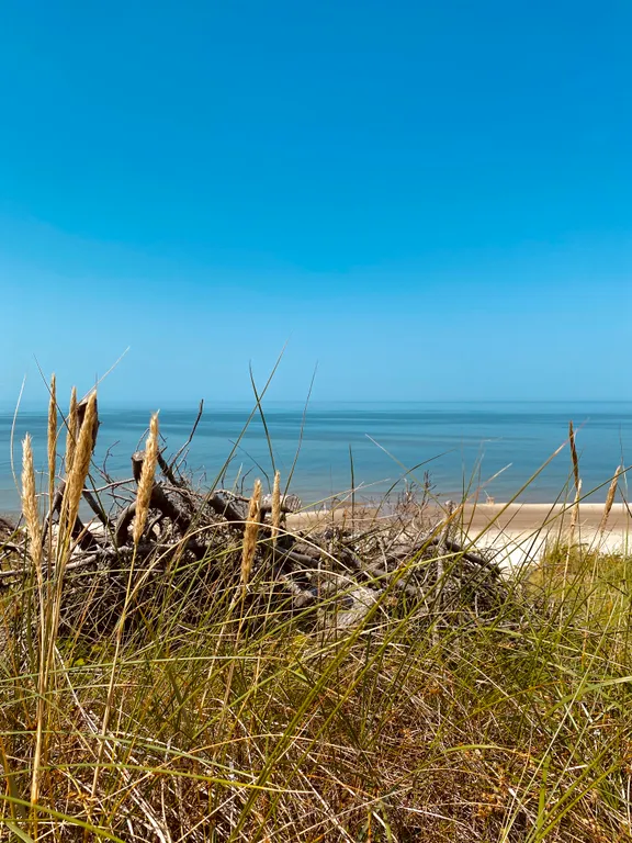 Квартира Квартира Апартамент Mint — Светлогорск