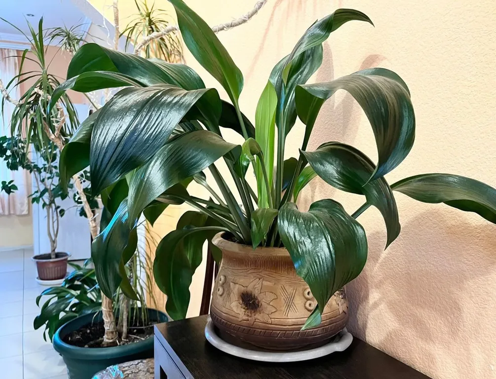 Два этажа с отдельным входом в уютном доме в ущелье рядом с озером