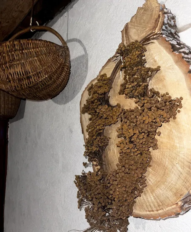 Уютный деревенский домик с русской баней возле берега озера