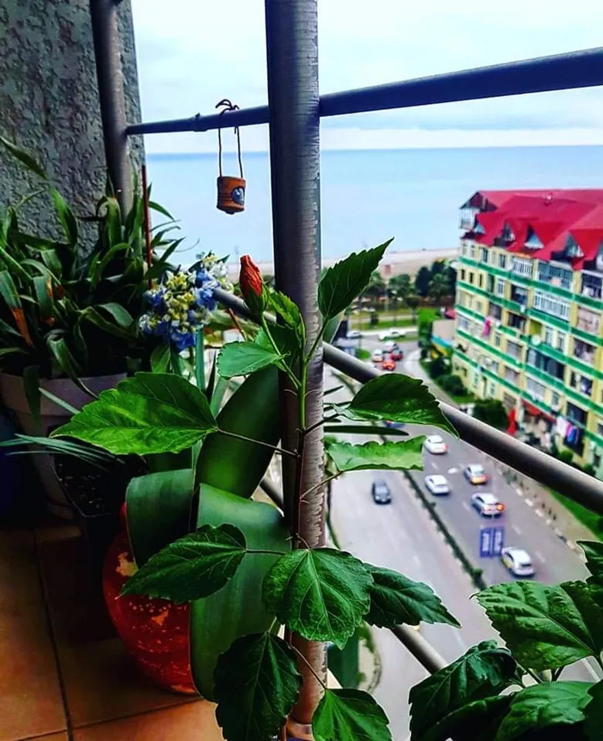 Фото