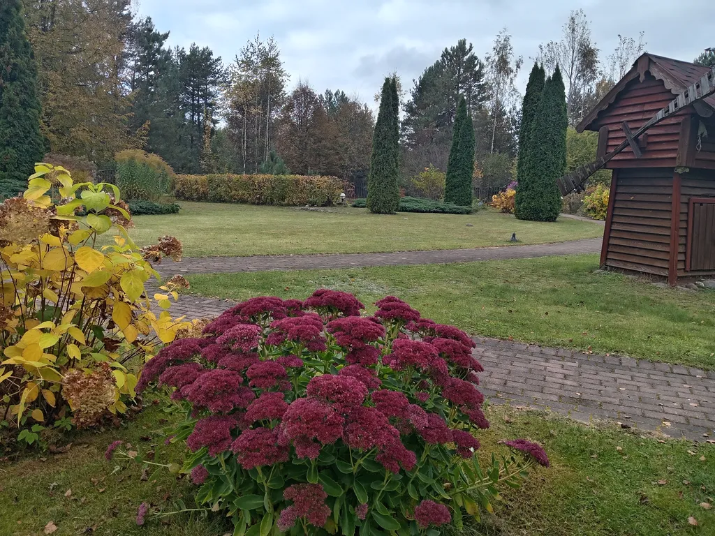 Домик с русской печкой и со всеми удобствами