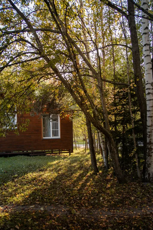 Коттедж Дом в скандинавском стиле — Приладожское