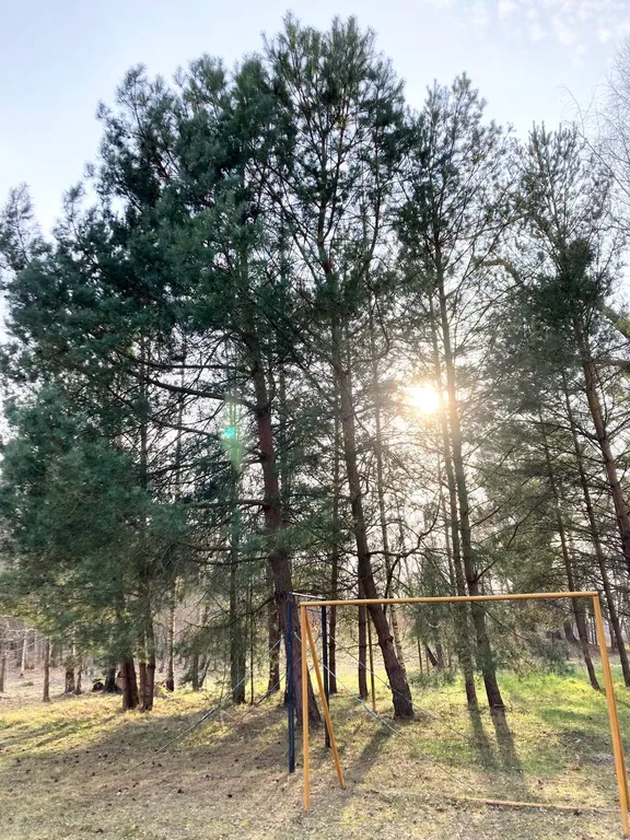 Домик целиком в лесу на берегу залива