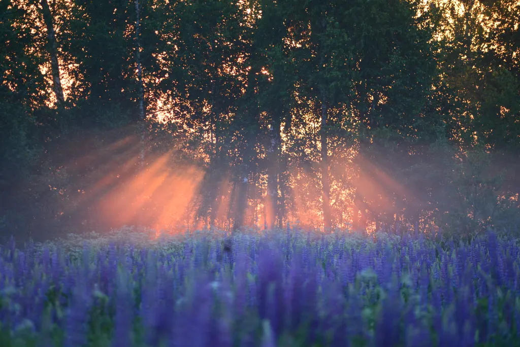 Просторный дом с баней в тихой деревушке у реки