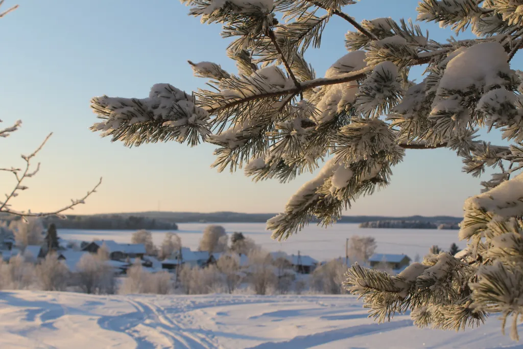 Уютный домик mikkola с видом на лес в Карелии