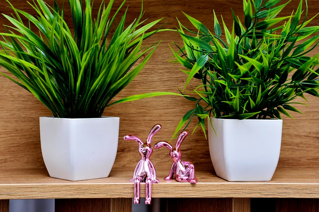 Апартаменты - студия на берегу моря