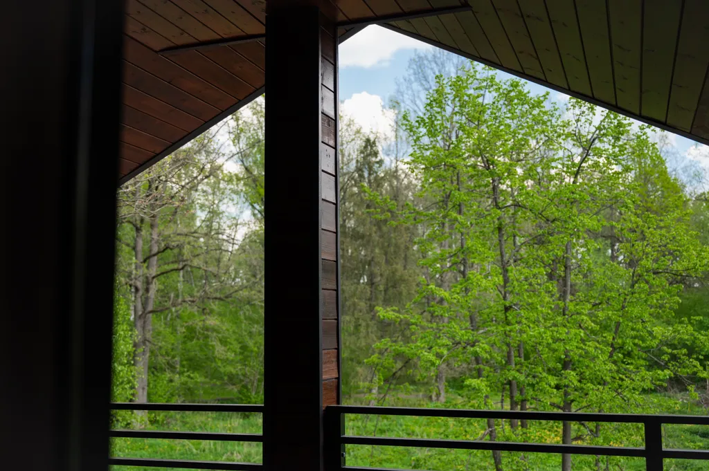 Дом с видом на лес и пруд 150 квадратов