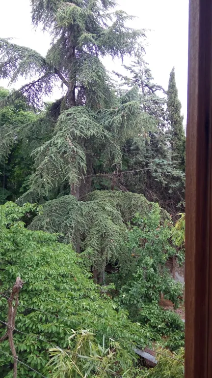 Квартира в центре города на 4 человека