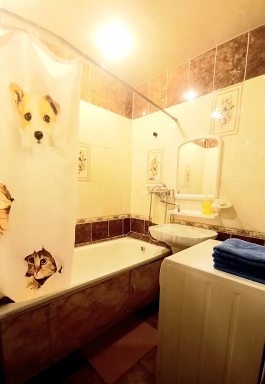 Двухкомнатная кв ТЦ Коллаж