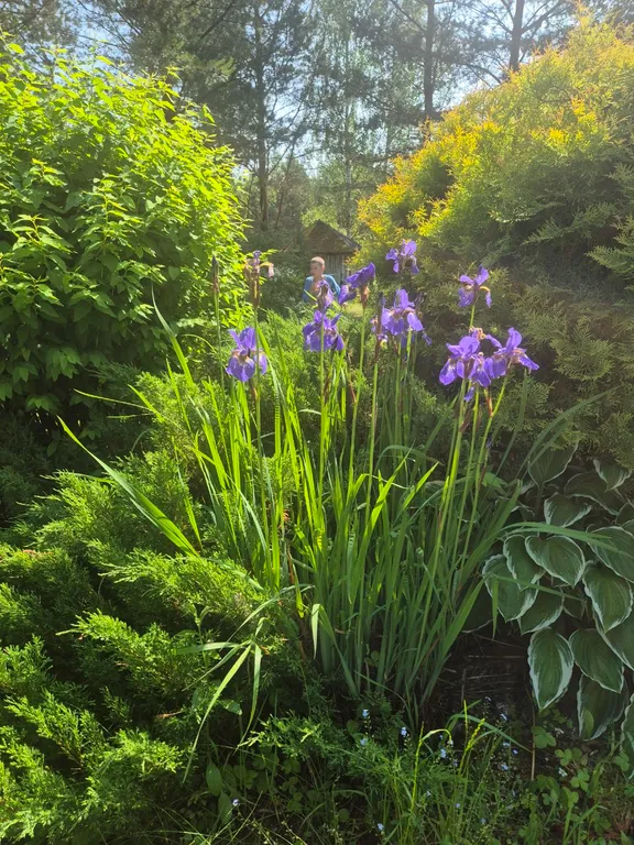 Эко - дом в лесу в гостях у Миродары