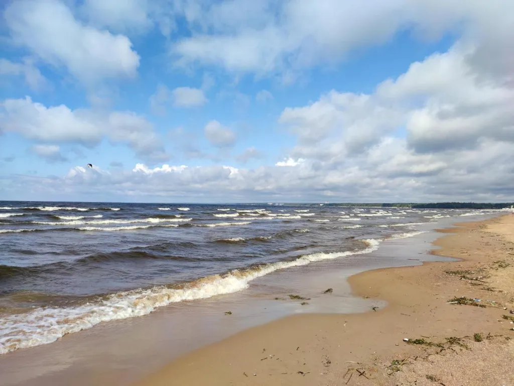 Апартаменты Sea View Светлый Мир