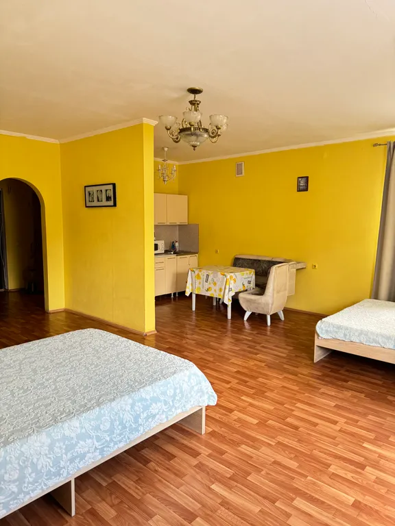 Уютная студия на Московском