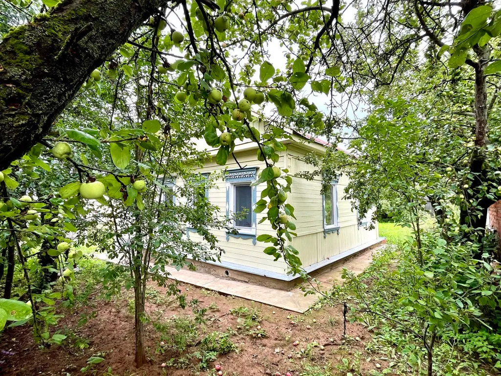 Уютный деревенский дом в сердце города