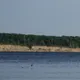 Кирилл