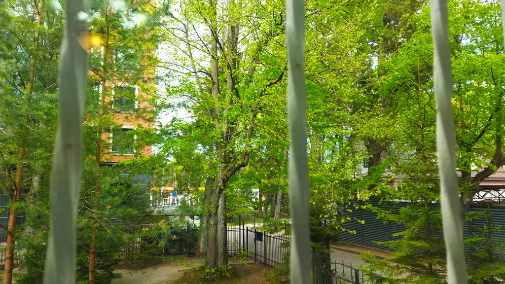 Квартира Просторная квартира в историческом центре — Светлогорск