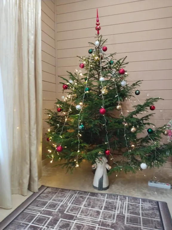 Уютный частный дом