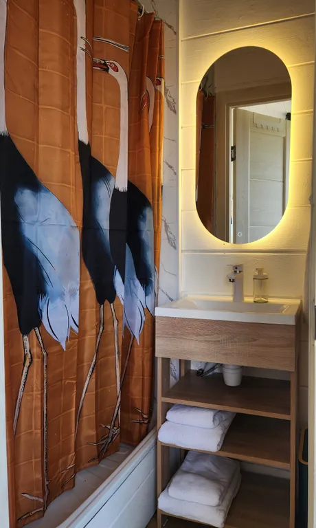 Дом с проектором и диваном