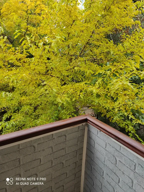 Квартира на набережной