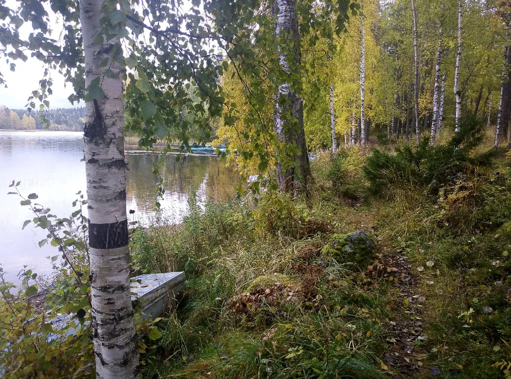 Квартира на берегу озера