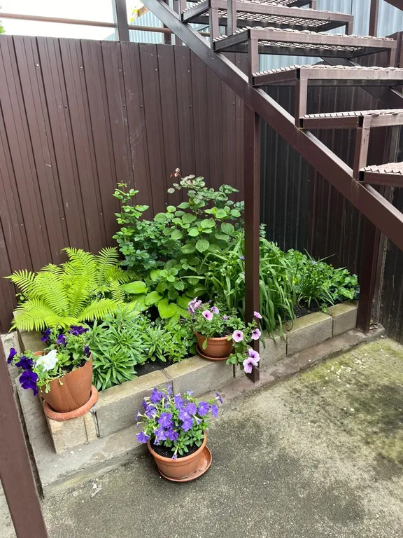 Уютная комната в доме с ванной комнатой