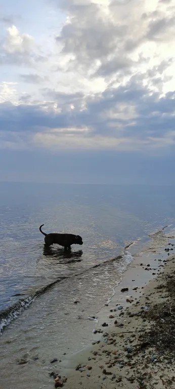Морской домик на Балтийском побережье