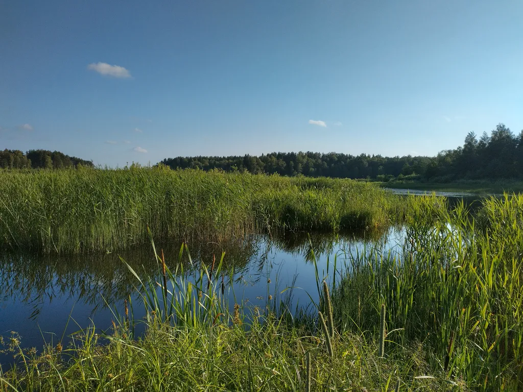 Дом на берегу Вышневолоцкого водохранилища